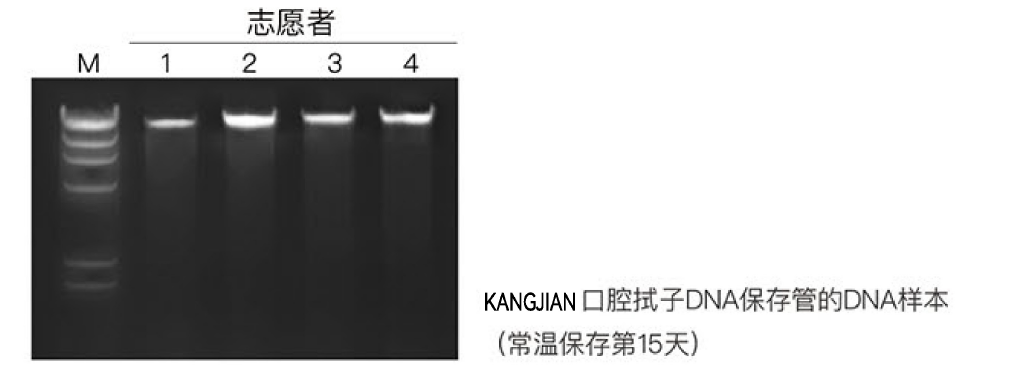 微信图片_20260331154320_474_15 微信图片_20260331154320_474_15