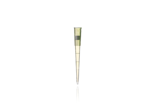 200μl 配吉爾森/賽默飛/芬蘭移液器 帶濾芯 帶刻度