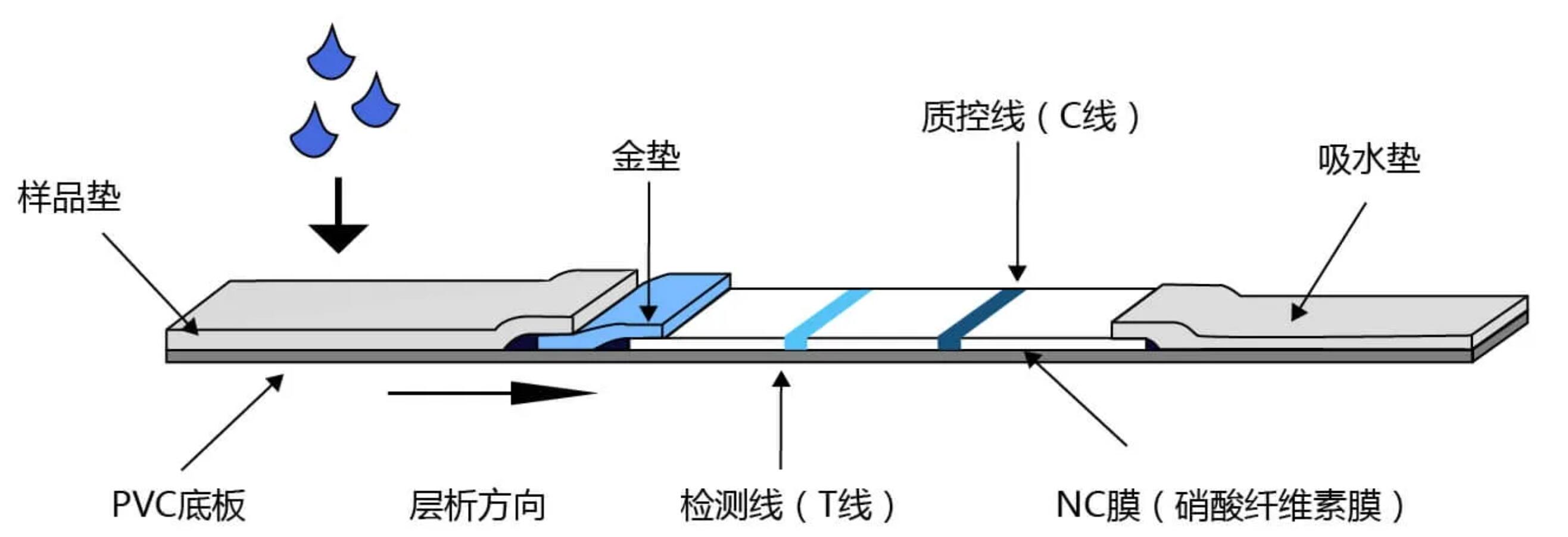 QQ截图20220517154900