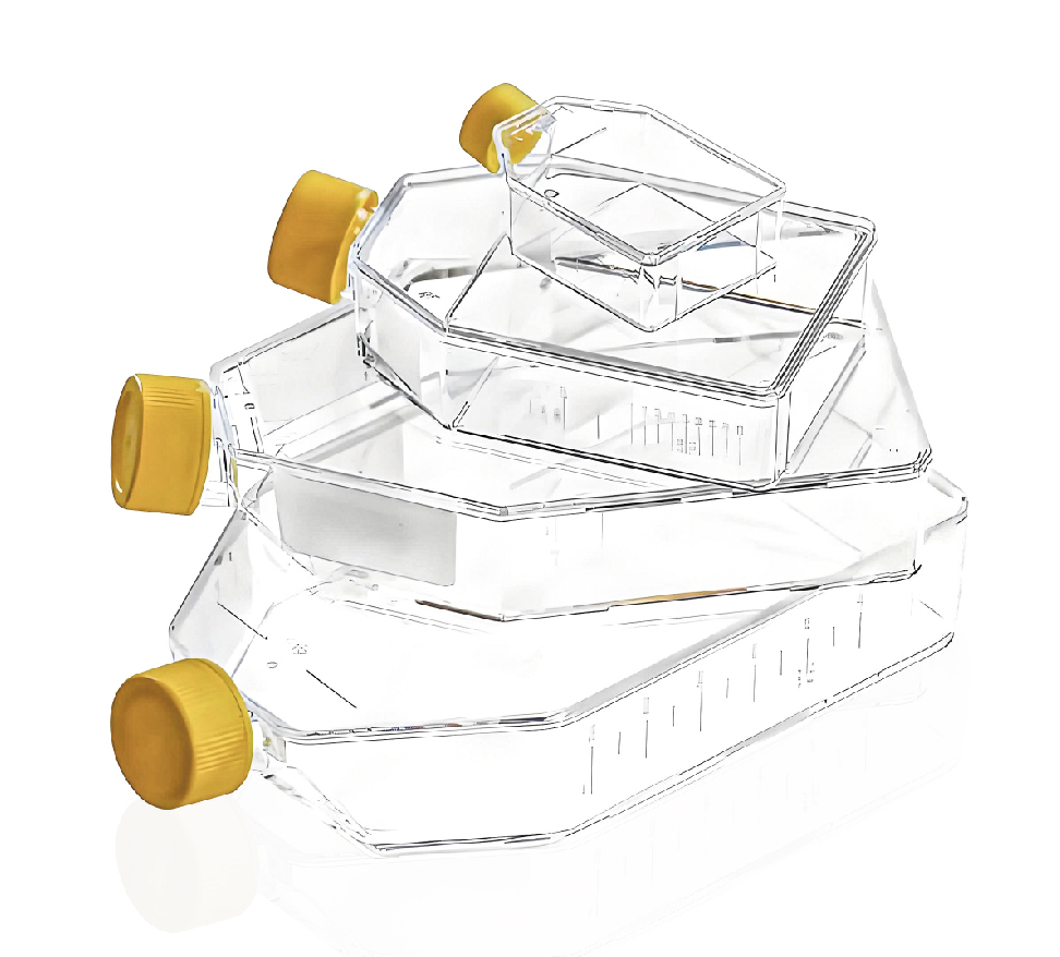 未標題-12_畫板 1