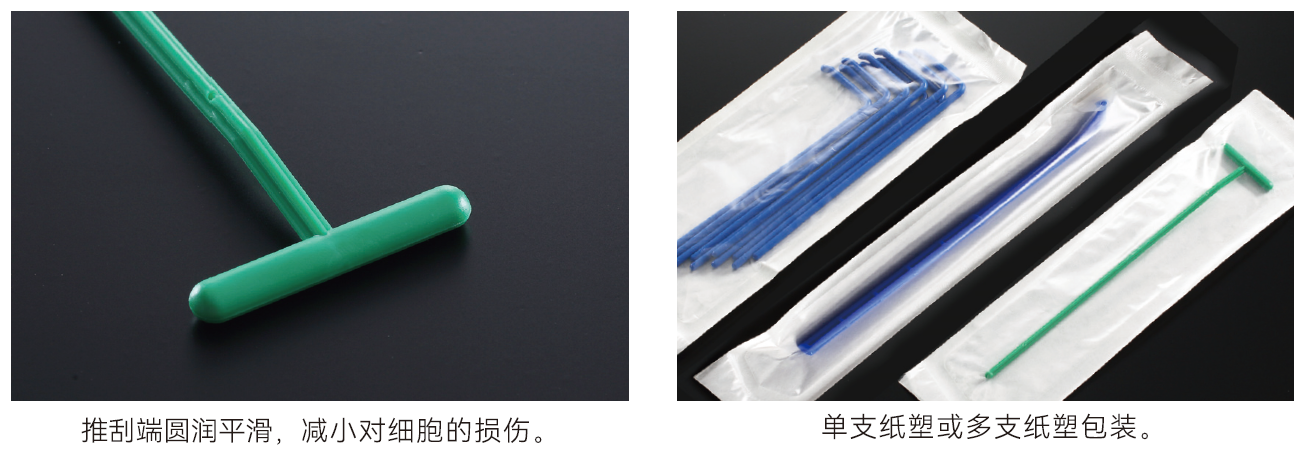 微信圖片_20260307143754_325_15