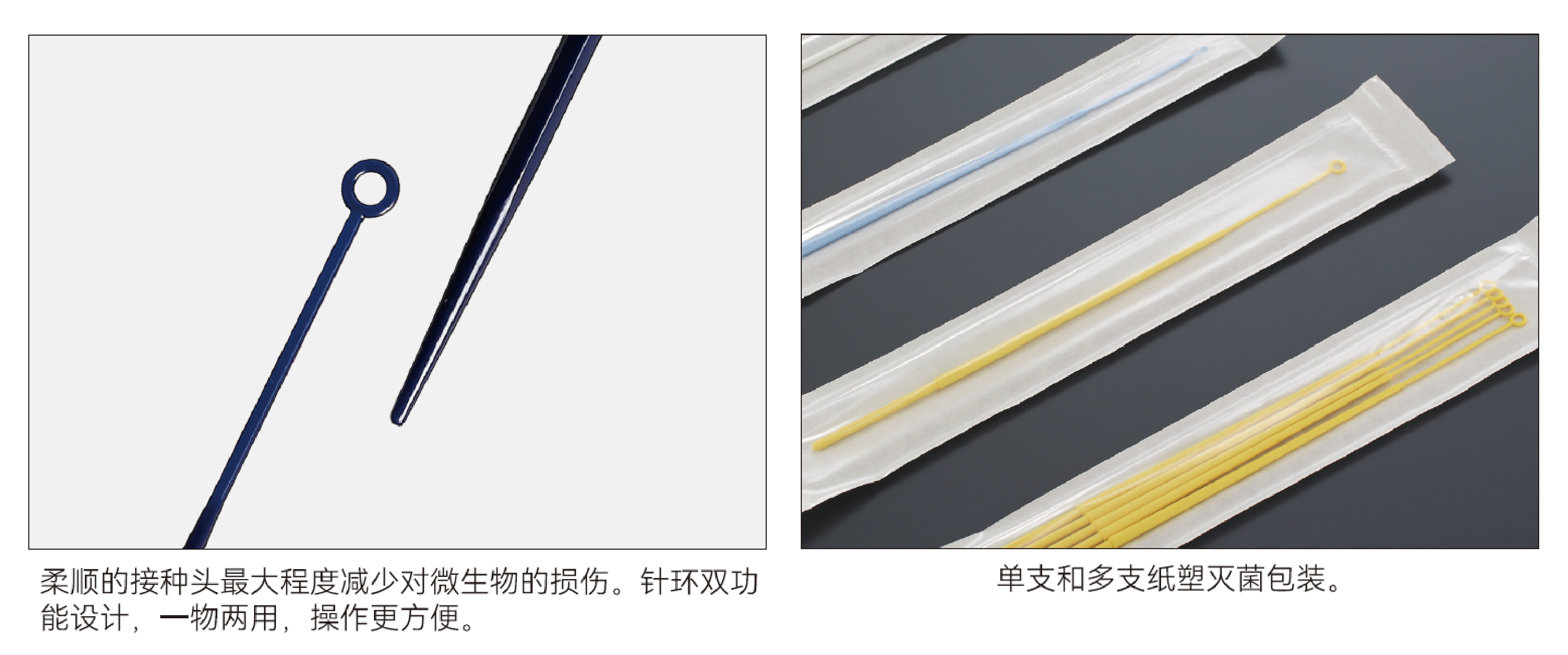 未標題-12_畫板 1